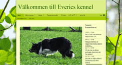 Desktop Screenshot of everics.se